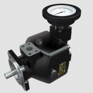 ROTARY POWER（英国）化学计量泵 C 系列