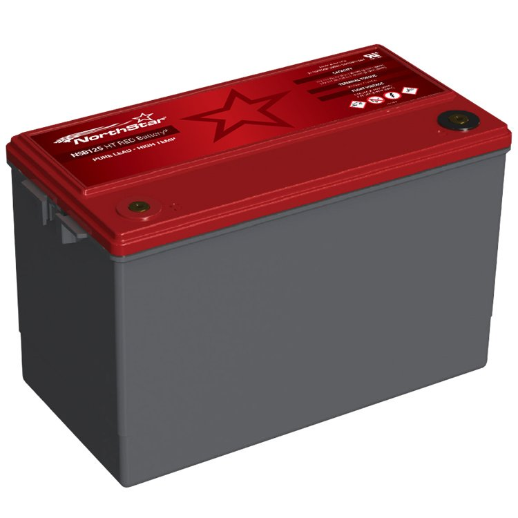 NORTHSTAR（北极星）电池 NSB 125TT HT RED